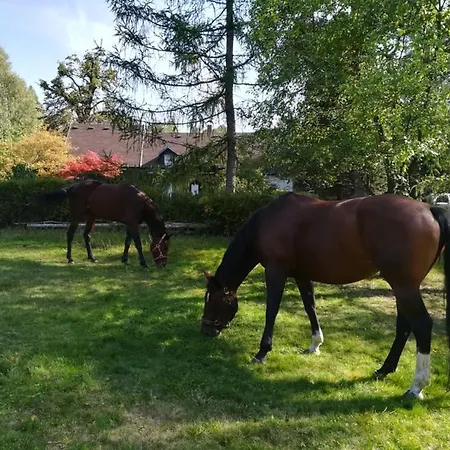 Prázdninový dům V Ráji. Tisá